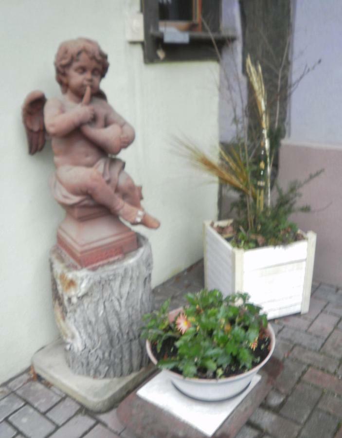 Gites Petermann マルコルスハイム エクステリア 写真